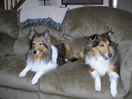 Lucy and Jenny