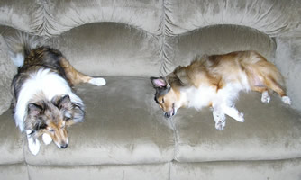 Lucy and Jenny