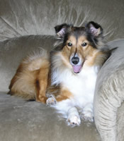 Lucy