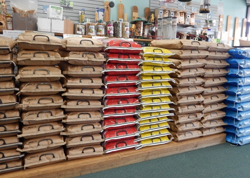 Seed Picture Feb 2015